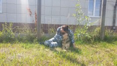 Симакова О. В. -НП-