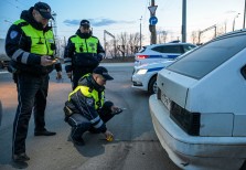 Богодвид М.А. - ПГО - 5