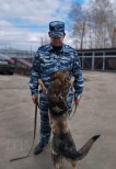 Иванов М.А. -НШВ-  Верный напарник