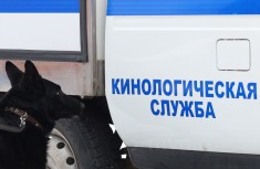Вергун А.Е. -ПГО- 4