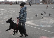 Аньков В.Е. -ПГО- 2