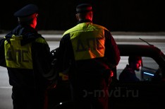 Богодвид М.А. - ПГО - 10
