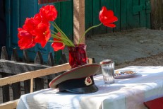 80 ВОВ - 1 Цурганов В.А.