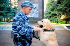 Морозова Е.С- НП Полицейский кинолог Пысин Андрей со своим напарником лабрадором-ретривером Риччи в сквере Мужества